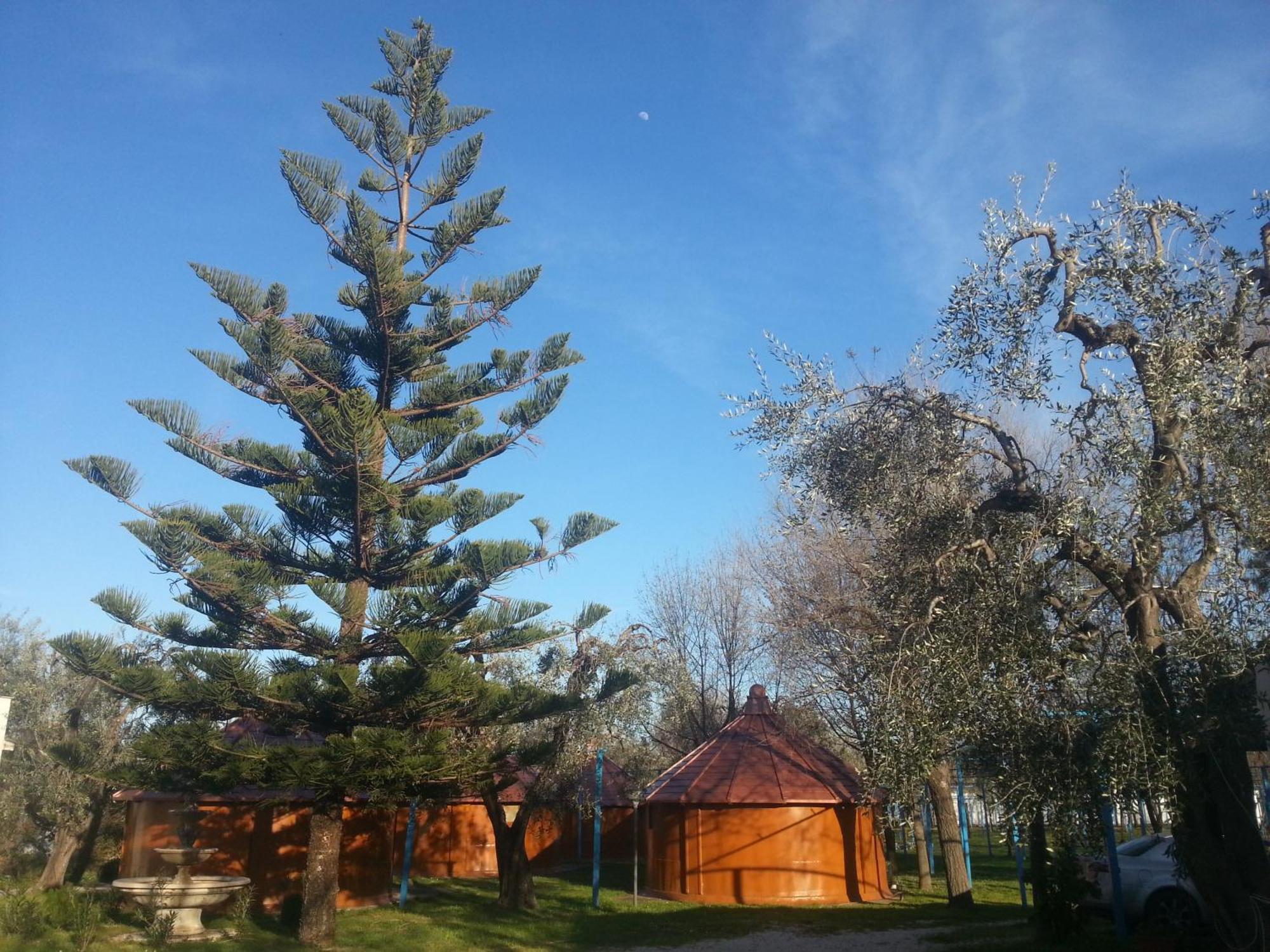 Mattinata Camping Extérieur photo